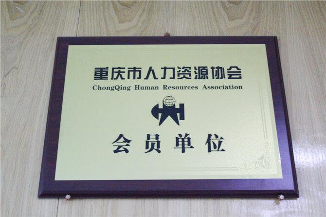 重庆市人力资源协会会员单位