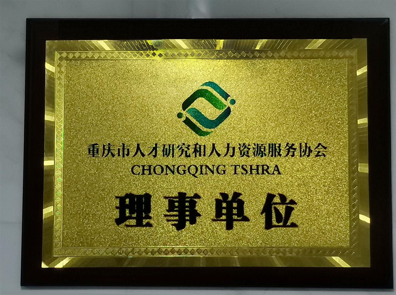重庆市人才和人力资源服务协会理事单位